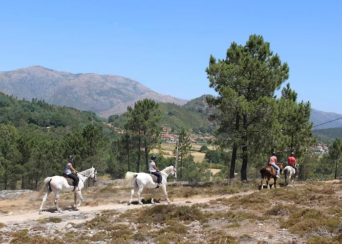 펜션 Casa Da Lameira I By Casas *